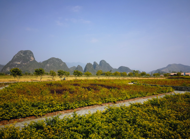 景2.png