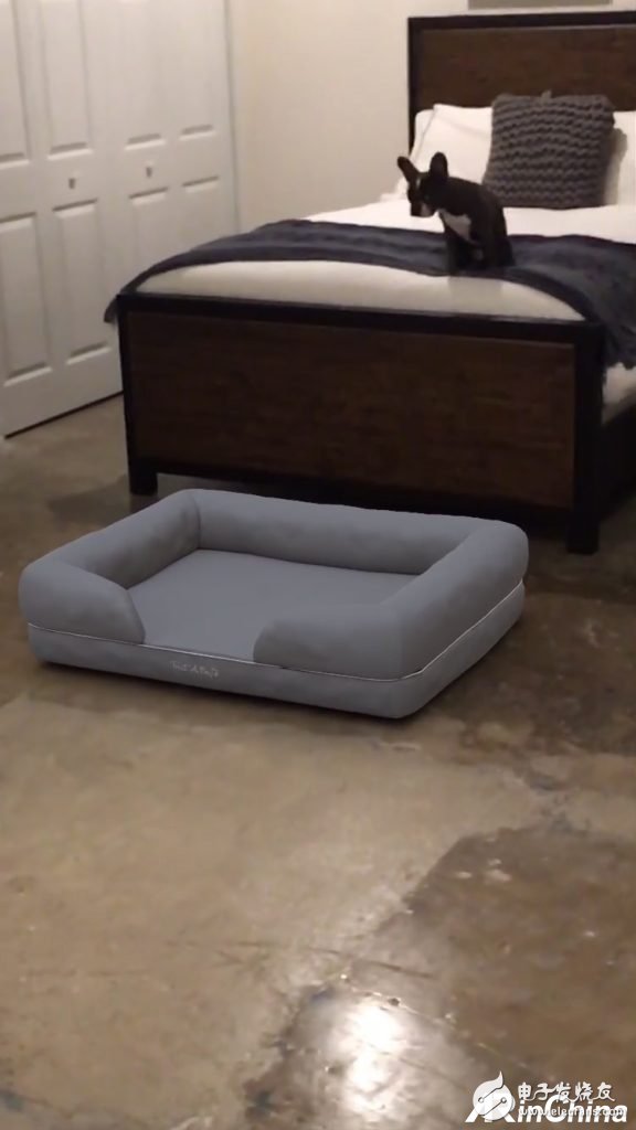 Shopify AR合作Treat A Dog,在用户可以提前体验到狗狗站在身边的感觉