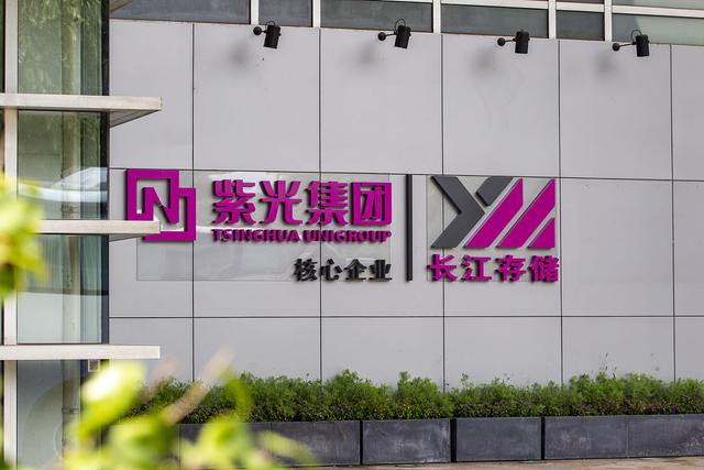 紫光集团走向破产，国产IC的未来将如何走向？