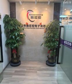 点击查看大图 深圳市鼎芯宏电子有限公司实景
