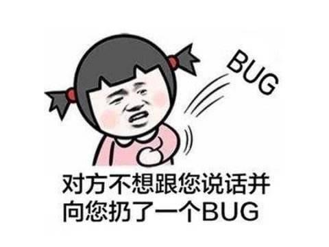 bug是什么意思.jpg