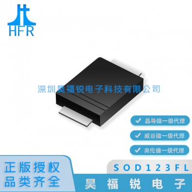 MM1W110L