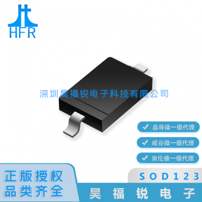 BAV20W