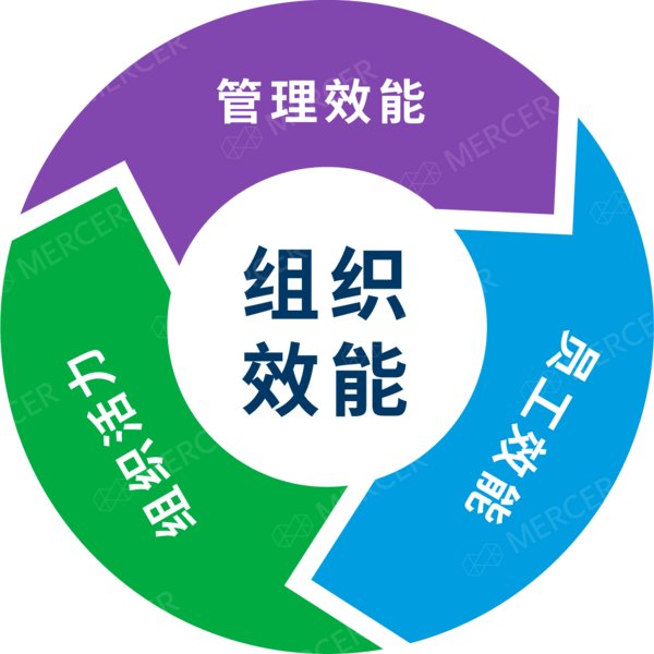 组织效能结构图