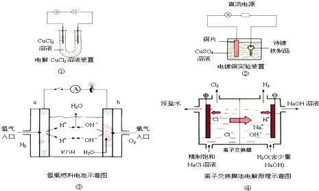 钛电极是惰性电极吗？它运用于哪些地方？