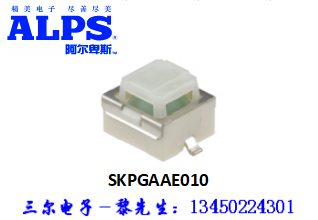 SKPGAAE010.png