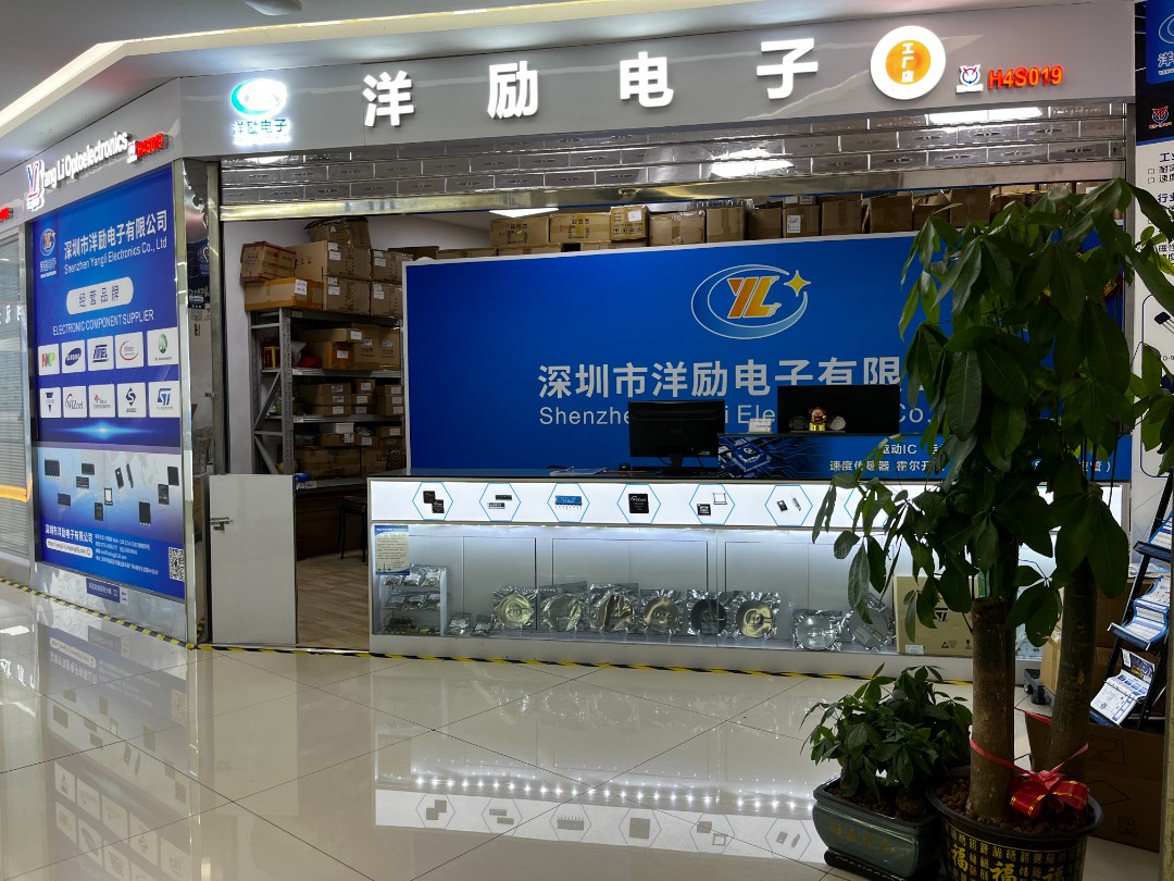 深圳市洋励电子有限公司