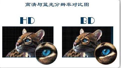 HD和BD哪个好？HD和BD的区别
