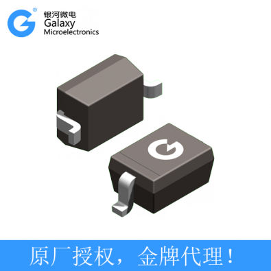 T1SS404