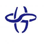 深圳市辉盛芯电子科技有限公司logo
