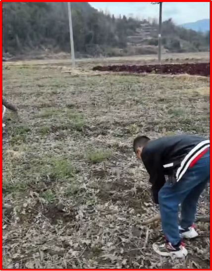 1740638816863.jpg