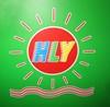 深圳市新鸿利源电子有限公司logo