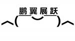 深圳市鹏翼展跃科技有限公司logo
