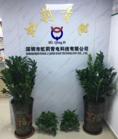 深圳市虹莉青电科技有限公司实景