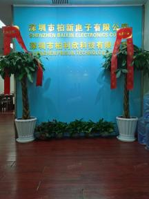 深圳市柏新电子有限公司实景