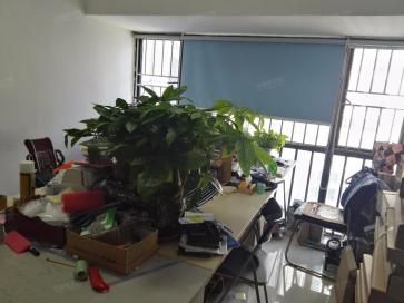 深圳市福田区新亚洲电子市场新创伟电子经营部实景