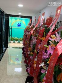 深圳市创科洋电子有限公司实景