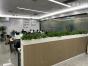 深圳市华芝杰电子有限公司实景