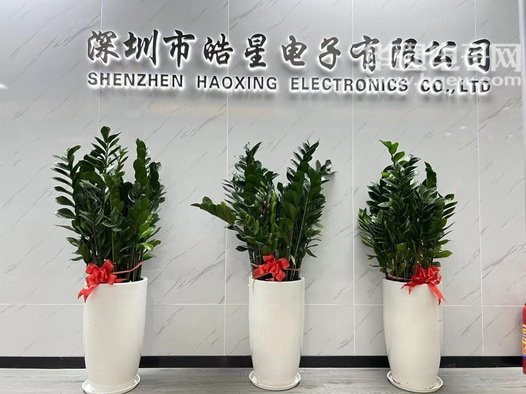 深圳市皓星电子有限公司展示图1