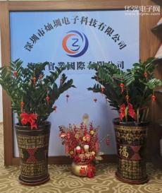 深圳市灿圳电子科技有限公司实景
