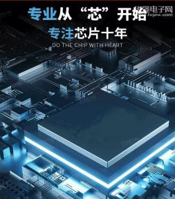 深圳市诚智芯科技有限公司实景
