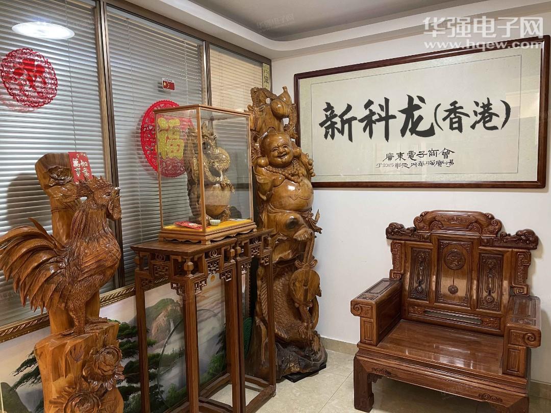 新科龍（香港）電子有限公司展示图1