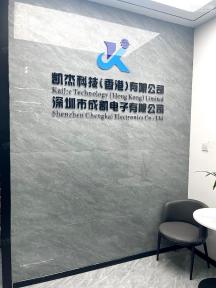 深圳市成凯电子有限公司实景