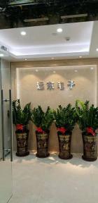 深圳市远东国际电子有限公司实景