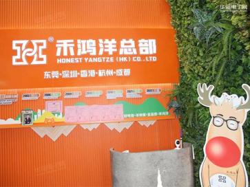 东莞市禾鸿洋电子科技有限公司实景