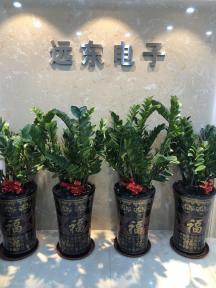 深圳市远东国际电子有限公司实景