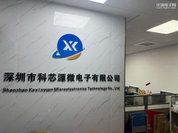深圳市科芯源微电子有限公司实景