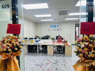 深圳市美芯睿电子有限公司实景