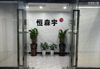 深圳市恒森宇电子有限公司实景
