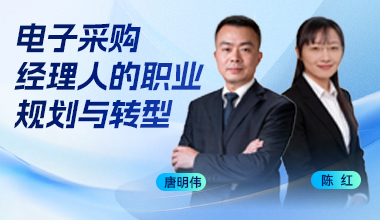电子采购经理人的职业规划与转型
